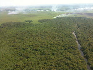 Aerial-view-of-where-survey-took-place-1