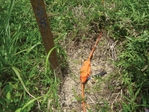 Geophone-in-grassland