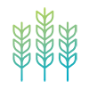 Icon of crops