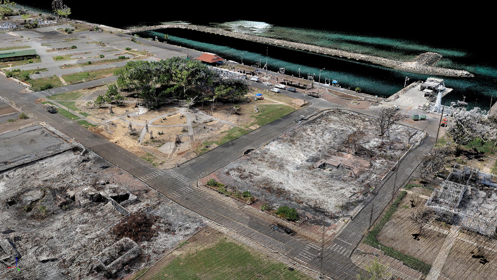 Image showing original point cloud of the Banyan tree and the marina in central Lahaina, Hawaii.